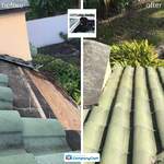 Tile Roof Repair