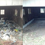 Johnson clean up