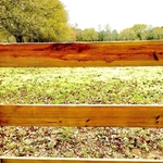 Fence Cleaning/sealing