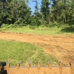 Hosrse training ring