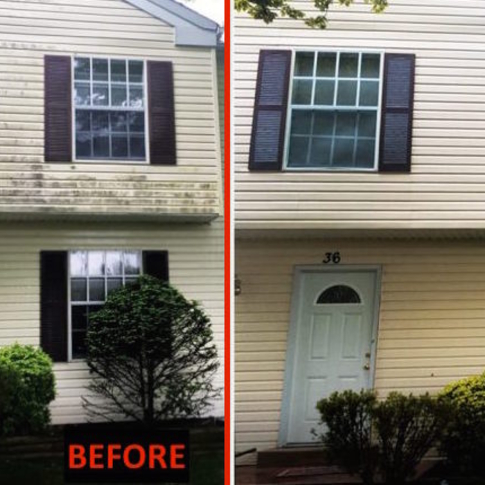 Vinyl Siding Cleaning