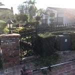 Clean up before picture