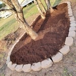 flower bed after being cleared