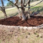 after flower bed cleared and built