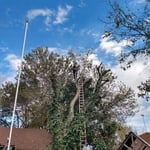 Picture two