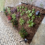 New Flower Bed and Sprinkler Zone