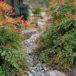 A Dry Stream is an Attractive Drainage Solution