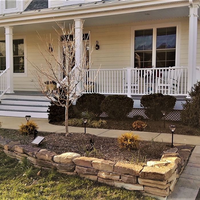 Natural Stone Wall