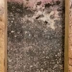 Mold
