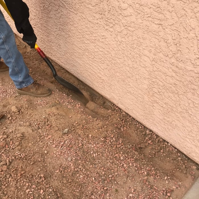 Termite Control