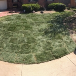 Sod install on Sunlite street