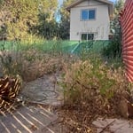 Yard clean up