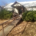 Yard Clean-Up