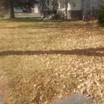 Yard Clean-Up