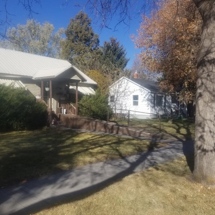Yard Clean-Up