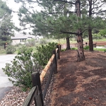 Fence Repair and Post replacement