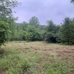 Land Clearing