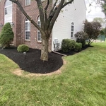 Mulch 19426
