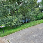 Lawncare & Tree Trimming