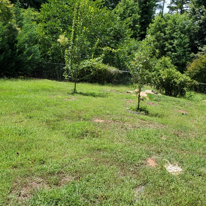 Lawncare