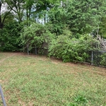 FENCE ROW