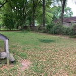 FENCE ROW
