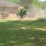 CLEAN UP!