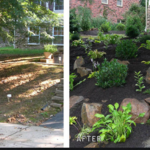 Landscaping Before and After