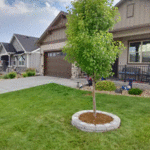 Lignum Vitae Landscaping & Irrigation