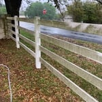 Black Mold and Algae Infested Fence