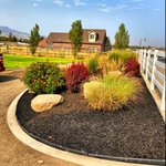 Front yard - after