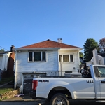 Shingle Roof