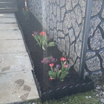 New garden