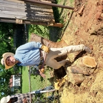 Tree removal