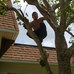 Tree Removal