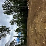 Site Work