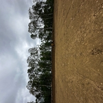 Site Work