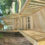Tree house