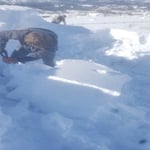 Snow Removal