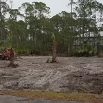 Land clearing
