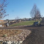 driveway landscape design