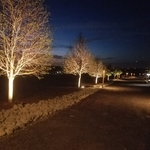 driveway landscape design