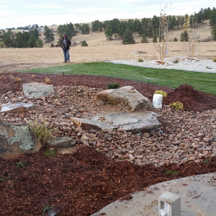 landscape design