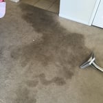 Carpet cleaning