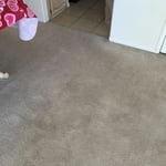 Carpet cleaning