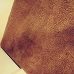 carpet1