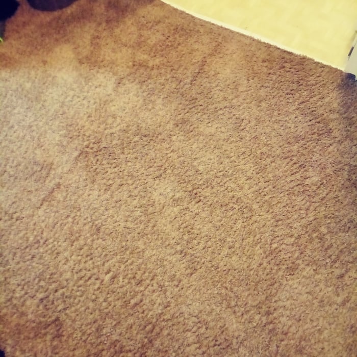 carpet2