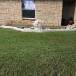 Decorative Flowerbed