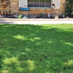Decorative Flowerbed