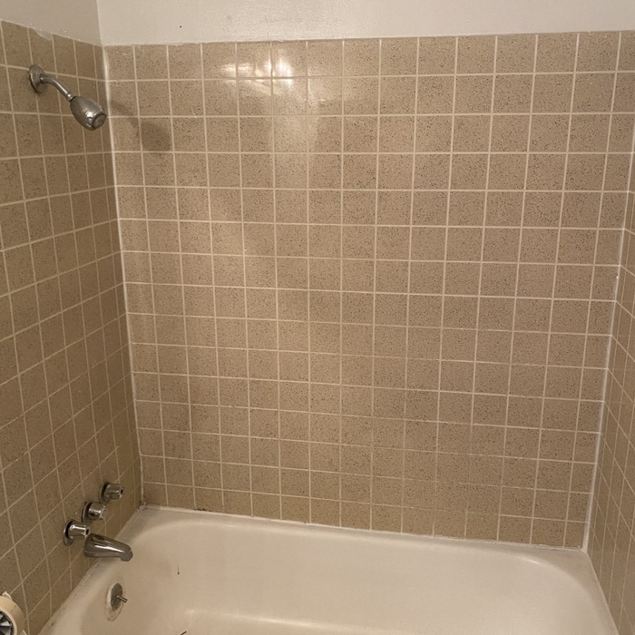 Recent Project